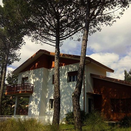 לינה וארוחת בוקר ניקולוסי Il Giardino Di Leoca מראה חיצוני תמונה