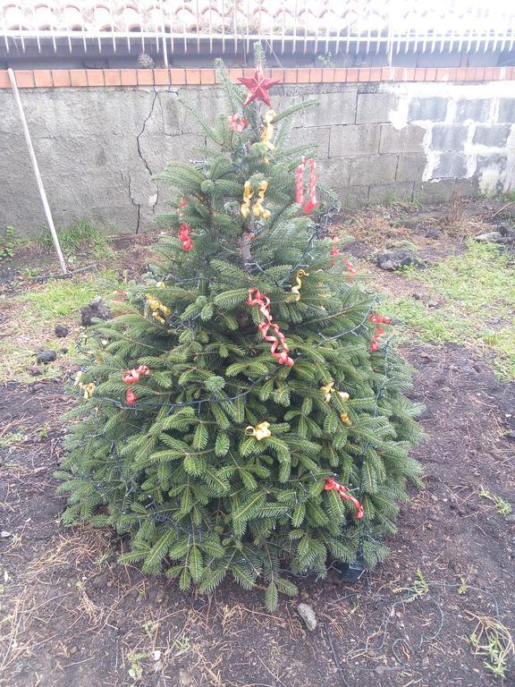 לינה וארוחת בוקר ניקולוסי Il Giardino Di Leoca מראה חיצוני תמונה