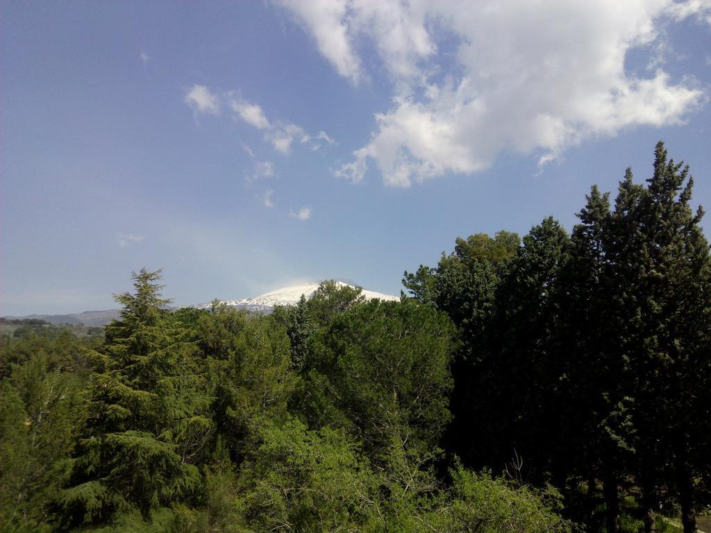 לינה וארוחת בוקר ניקולוסי Il Giardino Di Leoca מראה חיצוני תמונה