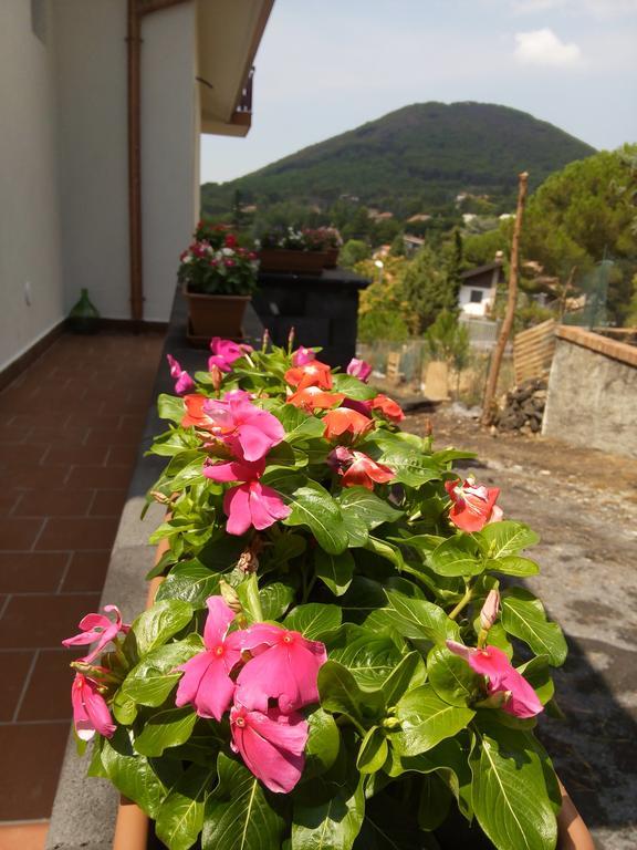 לינה וארוחת בוקר ניקולוסי Il Giardino Di Leoca מראה חיצוני תמונה